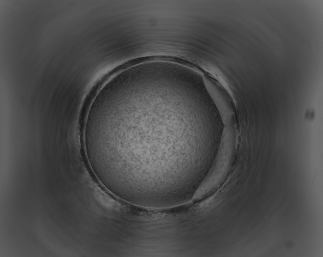 X0000091691072200708301536