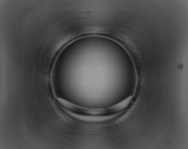 X0000091691073200708301535