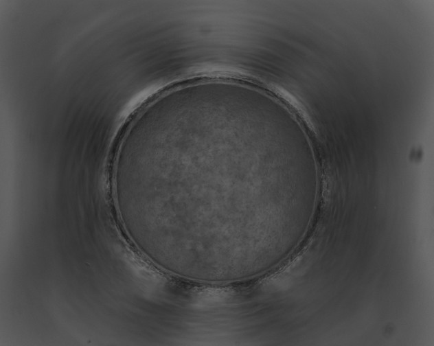 X0000091691074200708301535