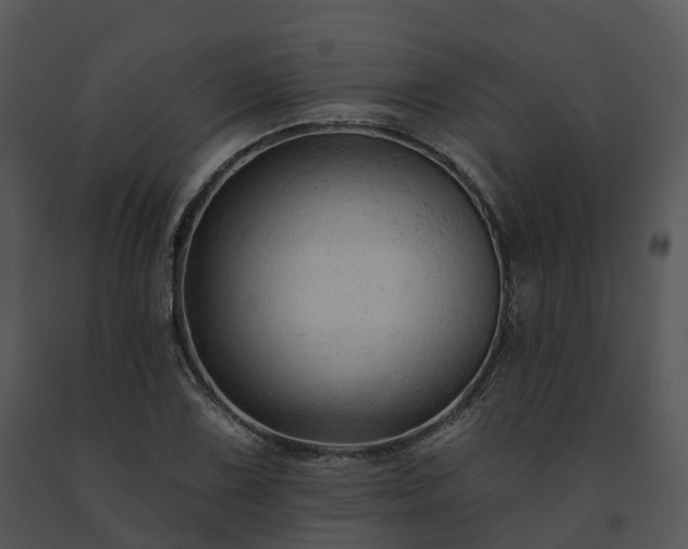 X0000091691075200708301535