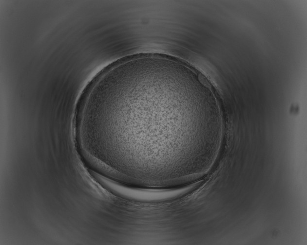 X0000091691076200708301535
