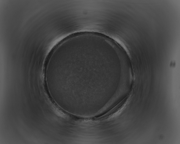 X0000091691077200708301535