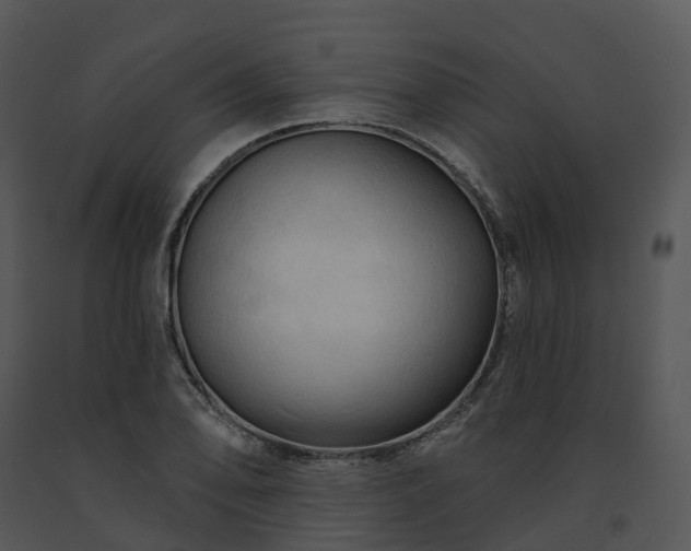 X0000091691078200708301535