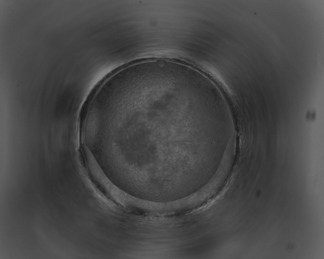 X0000091691079200708301535