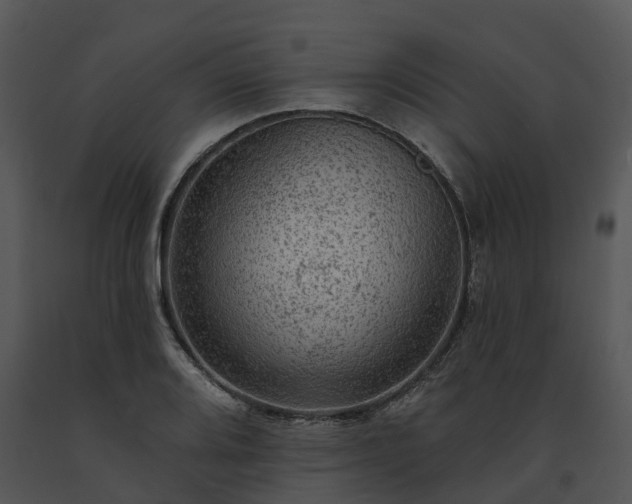 X0000091691080200708301535