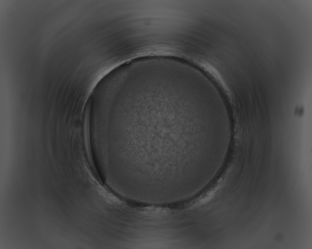 X0000091691081200708301535