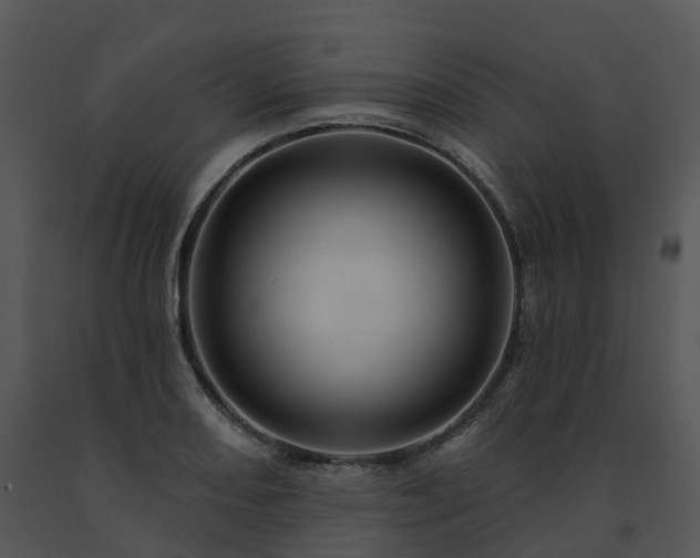 X0000091691082200708301535