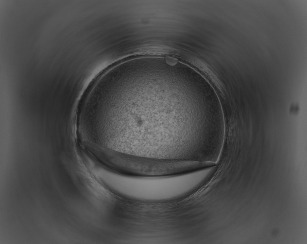X0000091691083200708301535