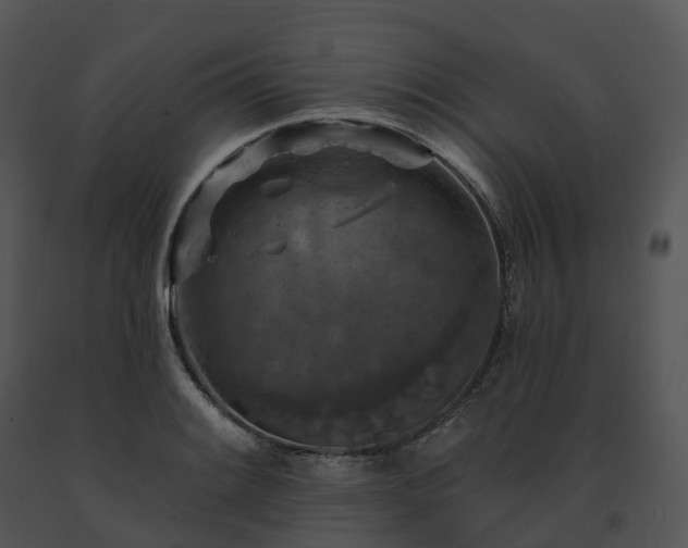 X0000091691084200708301535
