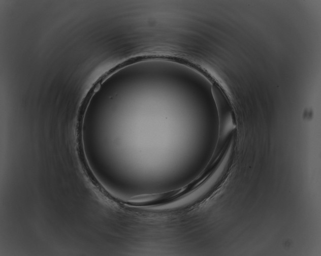 X0000091691085200708301535