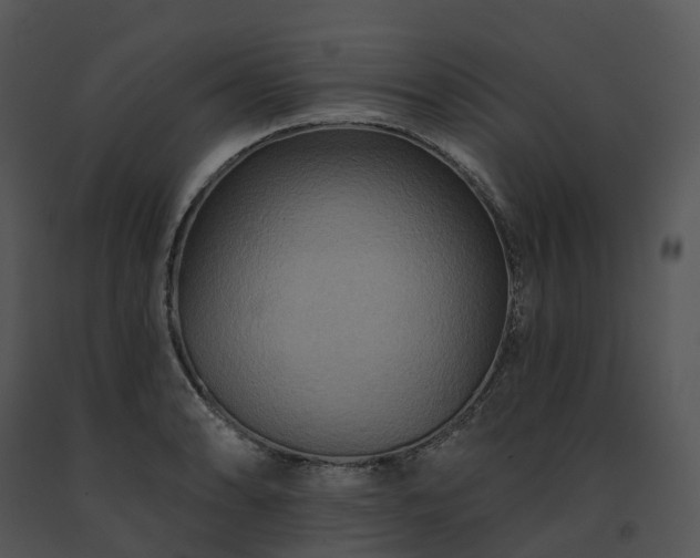 X0000091691086200708301535