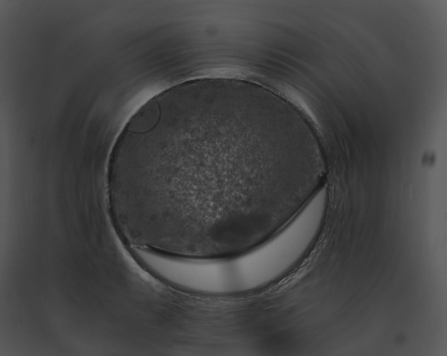 X0000091691087200708301535