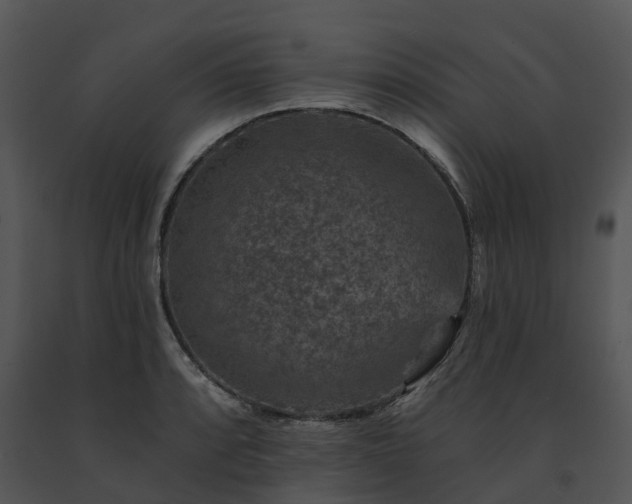 X0000091691088200708301535