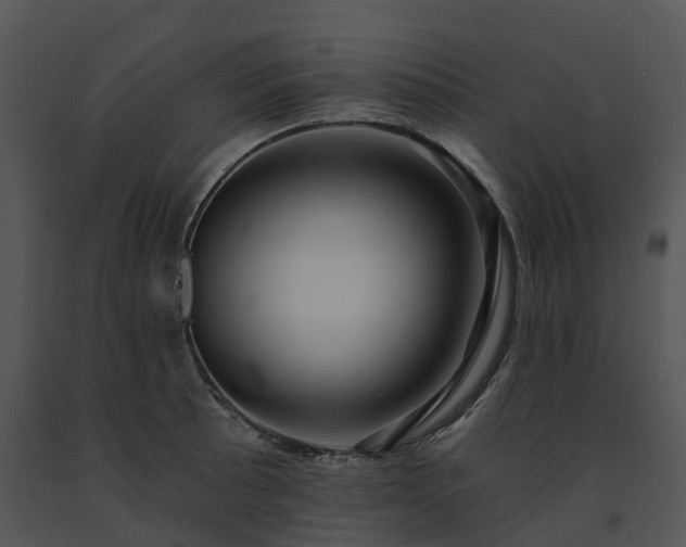 X0000091691089200708301535