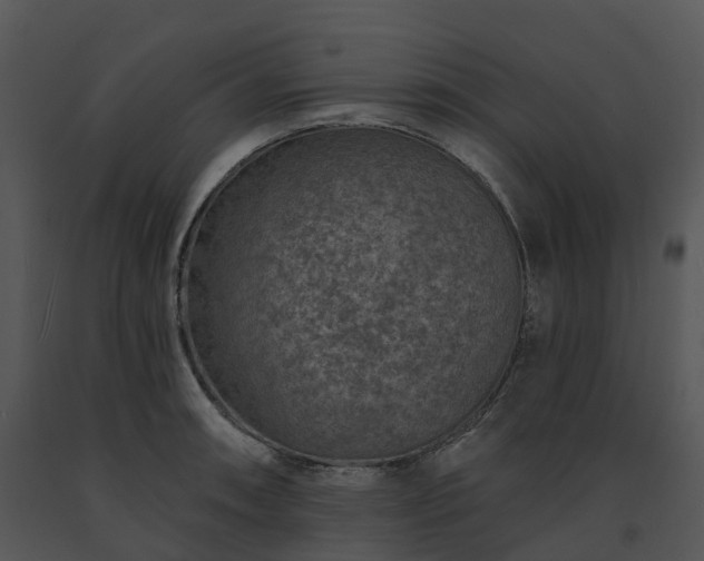 X0000091691090200708301535