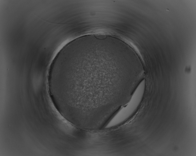 X0000091691091200708301535
