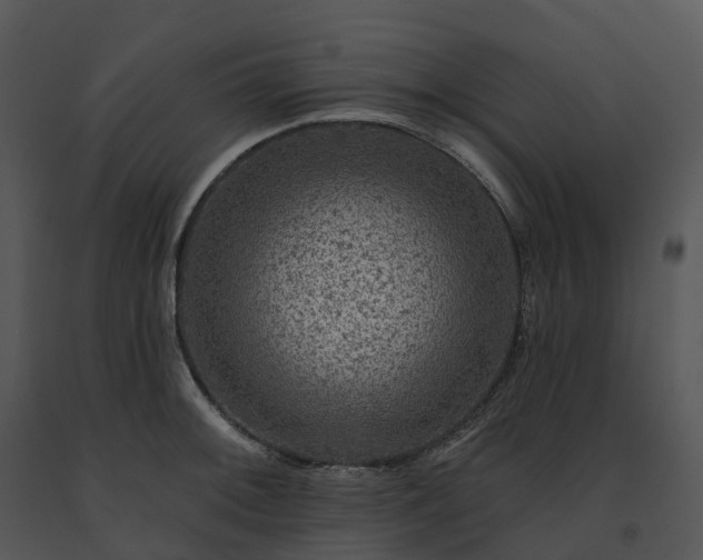 X0000091691092200708301535