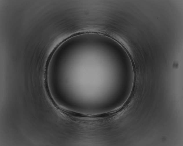 X0000091691093200708301535