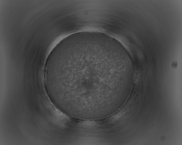 X0000091691094200708301535
