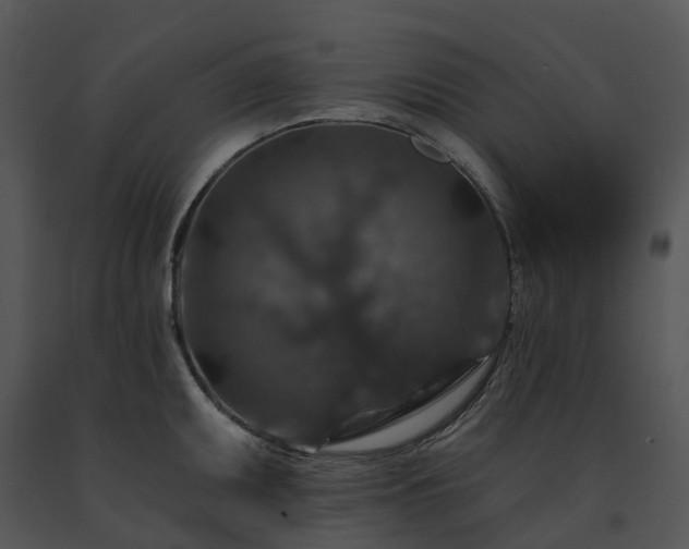 X0000091691095200708301535