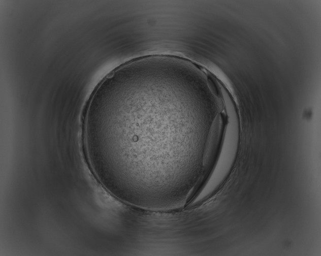 X0000091691096200708301535