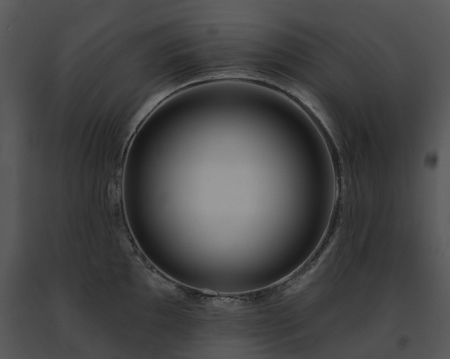 X0000091691097200708301535