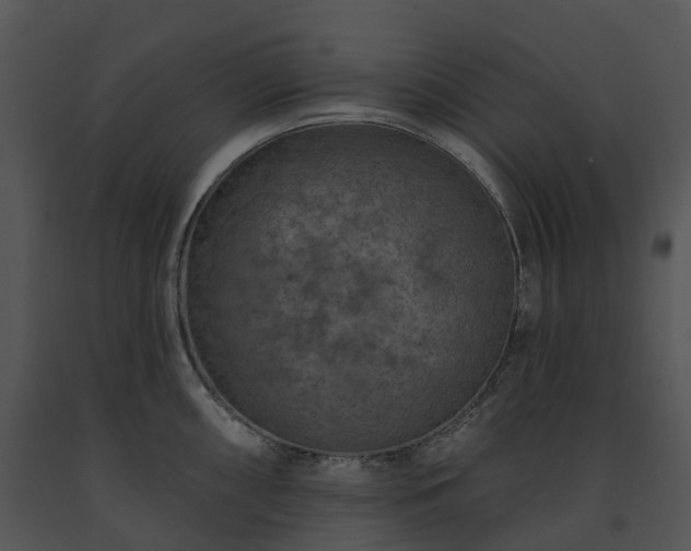 X0000091691098200708301535