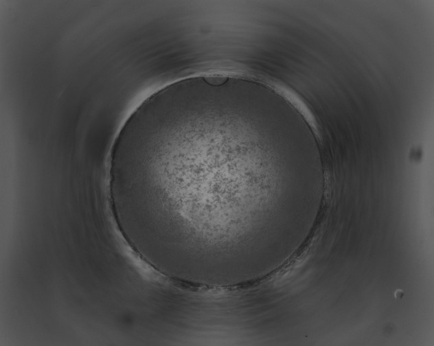 X0000091691099200708301535