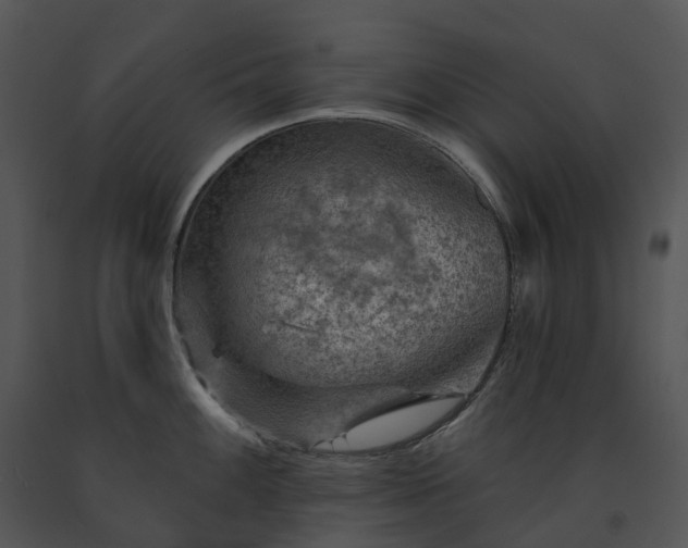 X0000091691100200708301535
