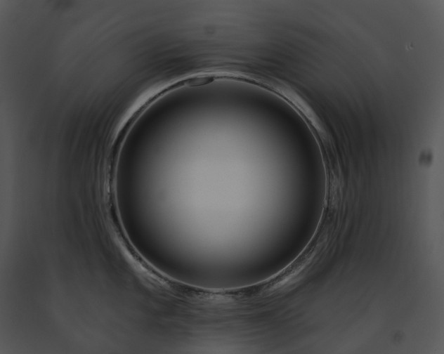 X0000091691101200708301535