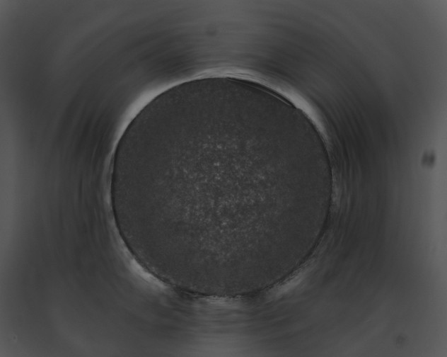 X0000091691102200708301535