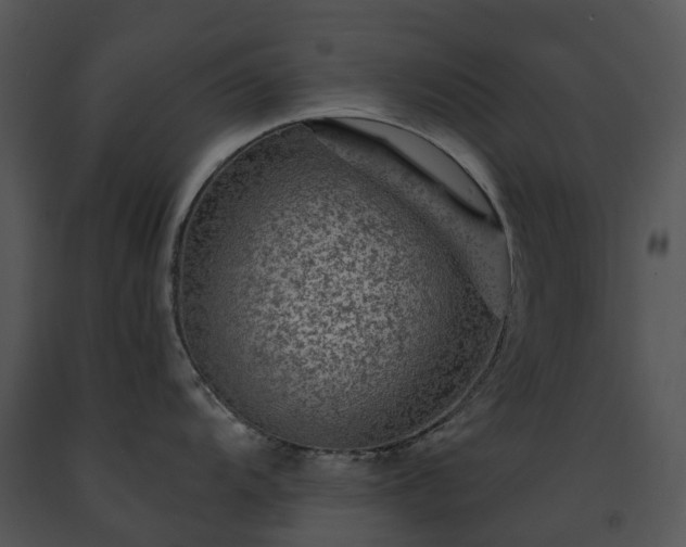 X0000091691104200708301535