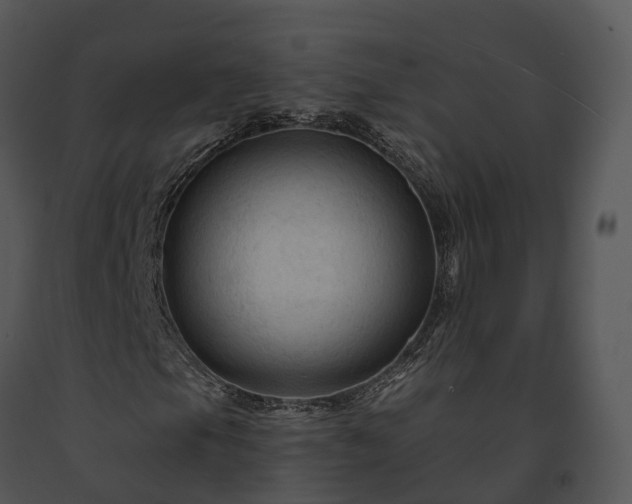 X0000091691105200708301535