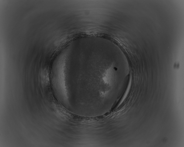 X0000091691106200708301535