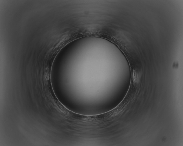 X0000091691107200708301535