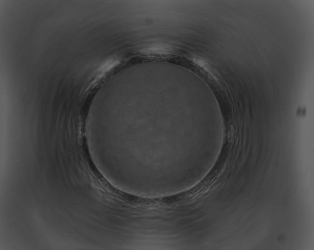 X0000091691108200708301535