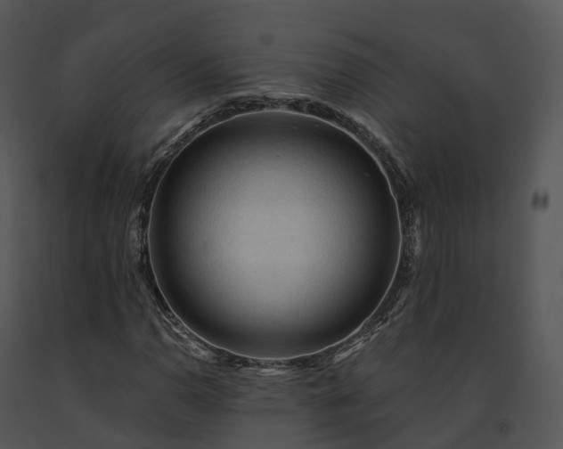 X0000091691110200708301535