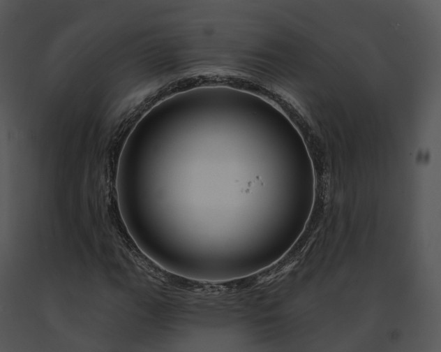 X0000091691111200708301535