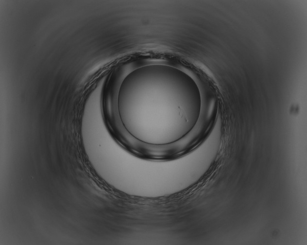 X0000091691112200708301535