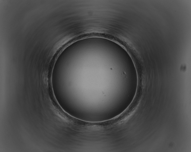 X0000091691113200708301535