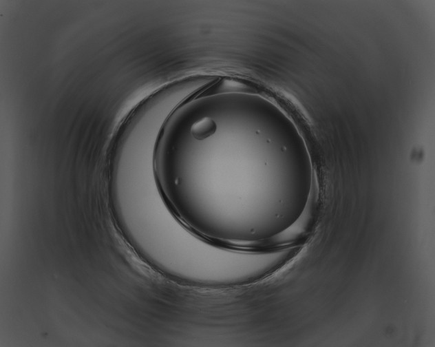 X0000091691114200708301535