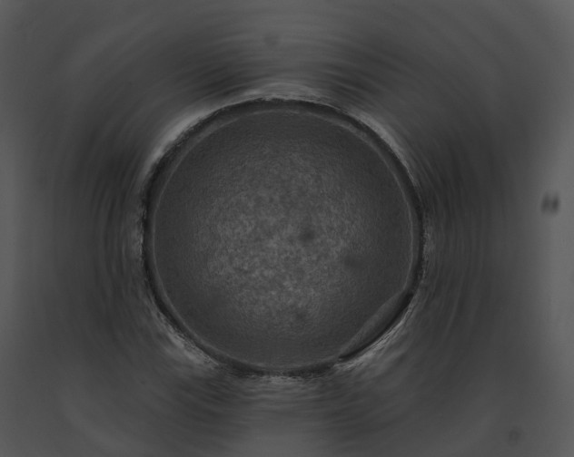 X0000091691115200708301535