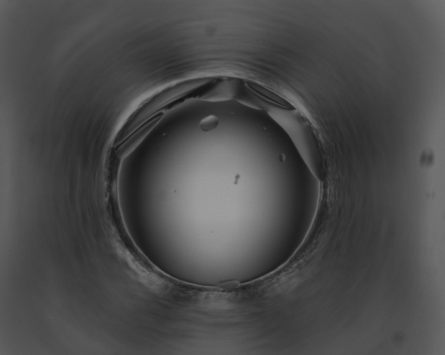 X0000091691116200708301535