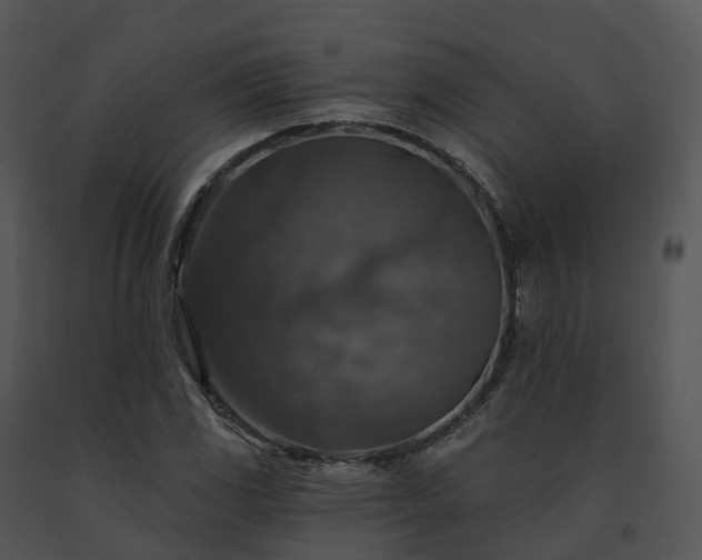 X0000091691117200708301535