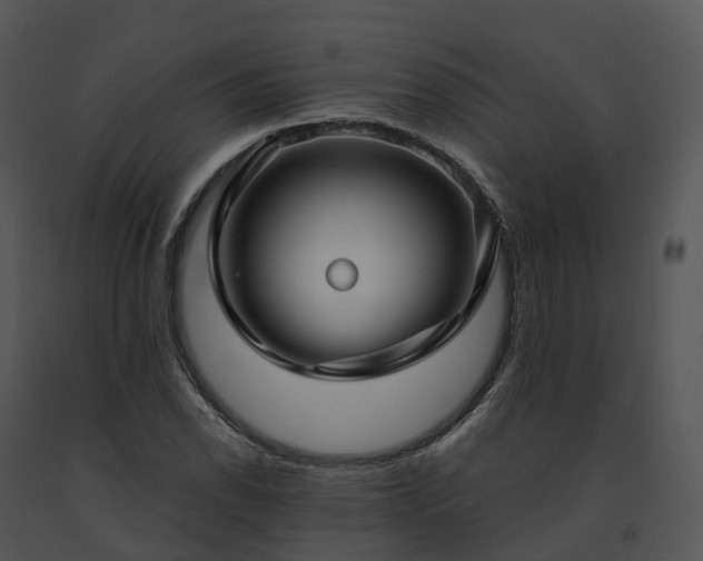 X0000091691118200708301535