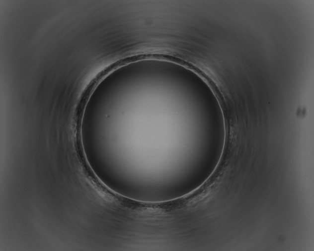 X0000091691119200708301535