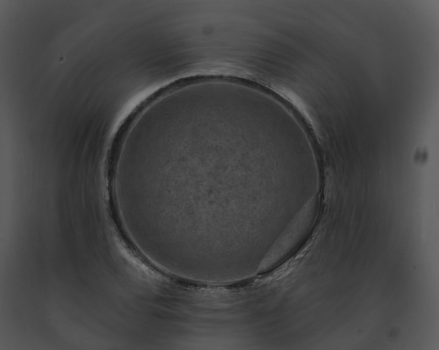 X0000091691120200708301535