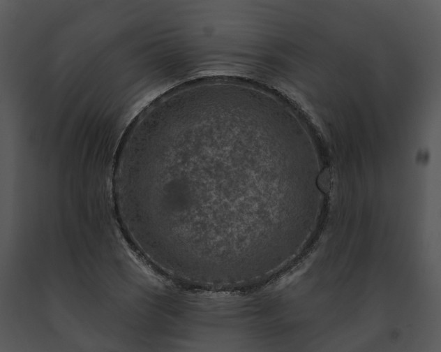 X0000091691121200708301535
