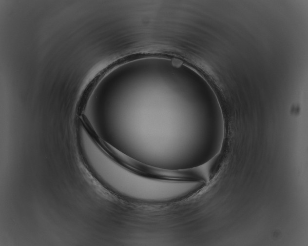 X0000091691122200708301535