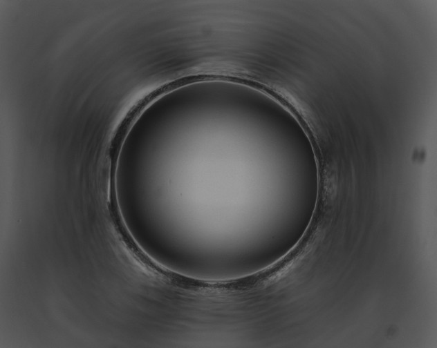X0000091691123200708301535